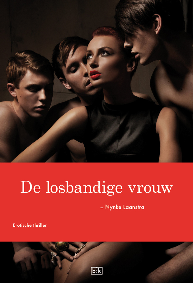 ...; BDSM Boek 